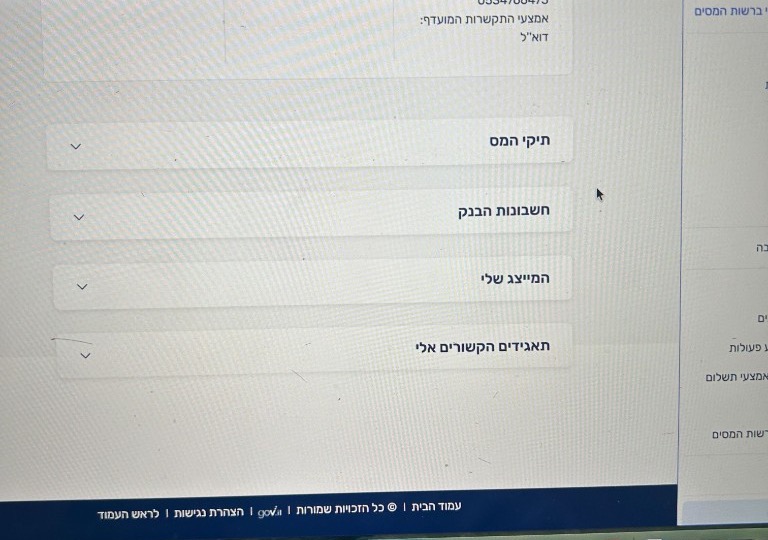 The My representatives area in the Tax Authority personal account.